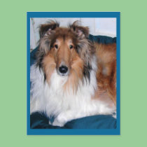Tennyson-A collie postcards