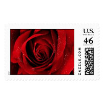 Tentation%20rose%20rouge postage by amandadanielle Tentation%20rose%20rouge postage