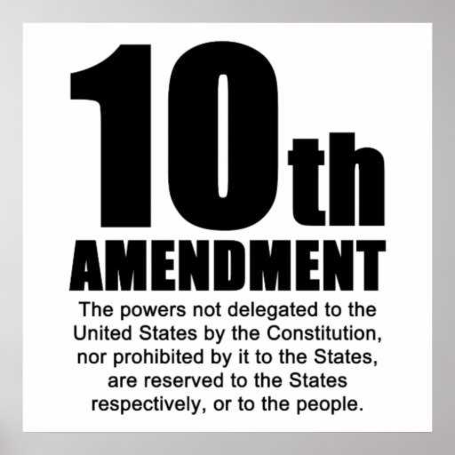 tenth-amendment-poster-zazzle