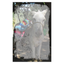 Tequila Donkey
