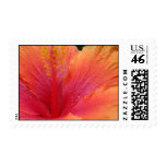 Tequila Sunrise Hibiscus Stamp
