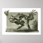 Teradock posters