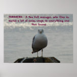 TERDBIRD : A Sea Gull manager, who fl... posters