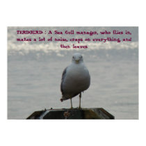 TERDBIRD : A Sea Gull manager, who fl... posters