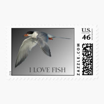 Tern in Flight 1 Postage Stamps stamps
