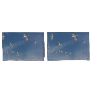 Terns Overhead Pillowcase