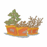 Terra Cotta Pots with Herbs
