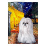 Terrace Cafe - Shih Tzu (white) Greeting Card