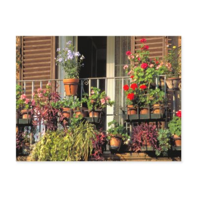 Terrace Garden Design on Terrace Garden Rome Italy Postcard From Zazzle Com