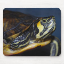 Terrapin Mousemats