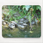 Terrapins, Giardini, Venice Mouse Mats