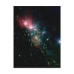 Terrible Twos Stars Post Cards