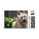 terrier among flowers postage by wisebarber terrier among flowers postage