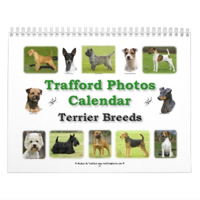 Terrier Breeds Wall Calendar by TraffordPhotos
