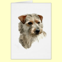 Terrier cards