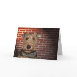 Terrier Card