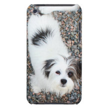 Terrier iPod Touch Case
