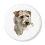 Terrier Terrier