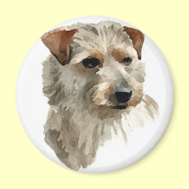 Terrier magnets