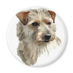 Terrier Terrier