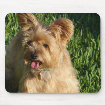 Terrier Mousepad