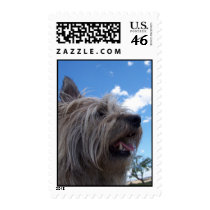 terrier outside postage by wisebarber terrier outside postage
