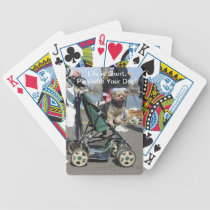 Terrier Playing Cards playing cards