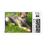 Terrier Puppy Postage Stamp