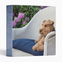 Terrier Time Out Binder