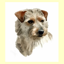 Terrier t-shirts