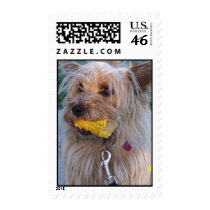 terrier with corn cob postage by wisebarber terrier with corn cob postage