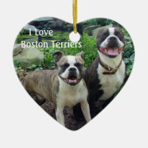 Terrieres de Boston del amor, ornamento Adorno Para Reyes