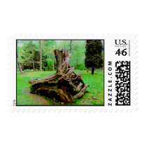 Terrific Twisted Tree Trunk stamps