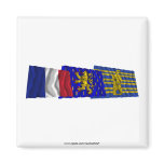 Territoire de Belfort, Franche-Comté &amp; France flag Refrigerator Magnet