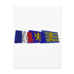 Territoire de Belfort, Franche-Comté &amp; France flag Post Card