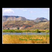 Terry Postcard postcards