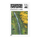 Terwilliger Hot Springs postage