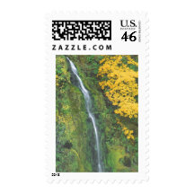 Terwilliger Hot Springs Postage