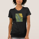 Terwilliger Hot Springs Tees