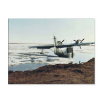 Teshekpuk Lake, Sea Plane, and Camp Postcards