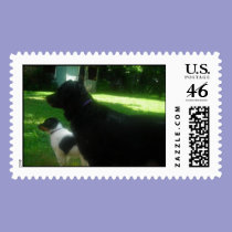 Tesla and baby Trinity stamps