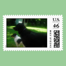 Tesla and baby Trinity postage