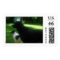 Tesla and baby Trinity Stamp