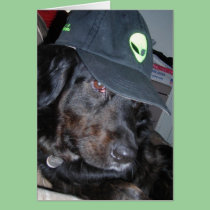 Tesla the alien dog2 cards