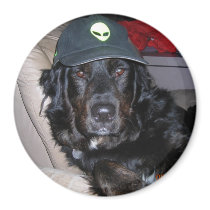 TESLA THE ALIEN DOG magnets