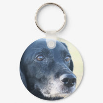 Tess - Black Labrador Photo-3 keychains by FrankzPawPrintz Tess - Black Labrador Photo-3 keychains