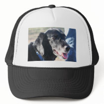 Tess - Black Labrador Photo-4 hats by FrankzPawPrintz Tess - Black Labrador Photo-4 hats