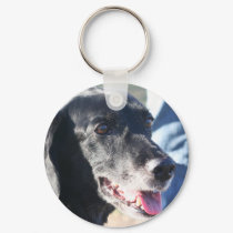 Tess - Black Labrador Photo-4 keychains by FrankzPawPrintz Tess - Black Labrador Photo-4 keychains