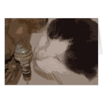 Tess Cards