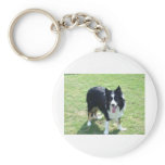 Tess keychains